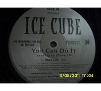 Ice Cube - You Can Do It