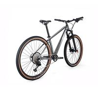 ICE Mt10, Bicicletta Unisex-Adulto, Grigio, 17'
