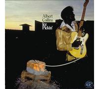 Albert Collins - Ice Pickin'