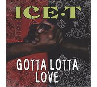 Ice-T - Gotta Lotta Love