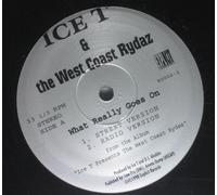 Ice T - What Really Goes on