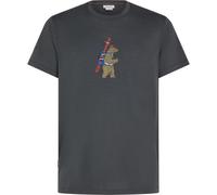 Icebreaker 150 Tech Lite Bear Tour Short Sleeve T-shirt Grigio L Uomo