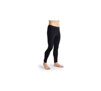 Icebreaker 260 tech legging black