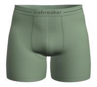 Icebreaker - Anatomica Boxers - Intimo lana merinos S verde/olivia