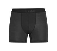 Icebreaker - Boxer da uomo in Lana merino - M Merino Anatomica Boxers Black per Uomo - Taglia XL - Nero Nero XL
