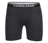 Icebreaker - Anatomica Long Boxers - Intimo lana merinos L nero/grigio