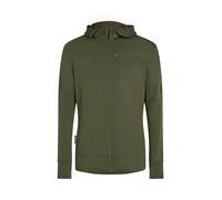 ICEBREAKER M 260 Quantum Iv Ls Zip H - Uomo - Verde - Taglia L- modello 2025
