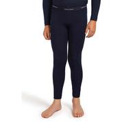 Icebreaker Leggings 200 Oasis