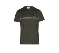 Icebreaker Merino 150 Tech Lite Range Stripes Short Sleeve T-shirt Verde L Uomo