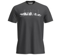 Icebreaker - Merino 150 Tech Lite S/S Tee The Peaks - Maglia merino M grigio