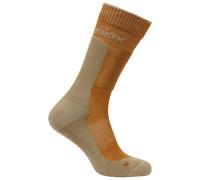Icebreaker - Merino Hike+ Medium Crew - Calze da trekking EU 44,5-46,5 marrone/beige