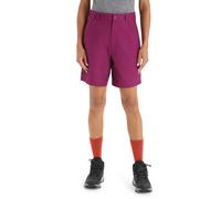Icebreaker Pantaloni Corti Hike