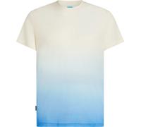 Icebreaker - T-shirt da trekking leggera e traspirante a maniche corte - M Merino Blend 125 Cool-Lite Sphere SS Tee Alta Undyed per Uomo - Taglia L - Beige