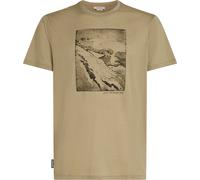 Icebreaker - T-shirt in lana - M Merino 150 Tech Lite SS Tee Summit Flagstone per Uomo in Legno - Taglia M - Verde