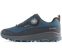 Icebug Haze Rb9x Goretex Trail Running Shoes EU 42 1/2
