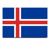 Iceland Flag Fridge Magnet Reykjavik Travel Souvenir