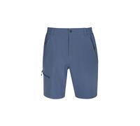 Icepeak Berwyn Shorts Blu 56 Uomo