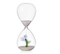 Ichendorf Clessidra Fiore Azzurro Botanica