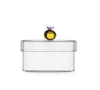 Ichendorf Desert Plants Scatola con cactus ambra