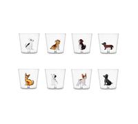 Ichendorf Milano - Set 8 Bicchieri Tumbler Acqua - DOGS - Designed by Alessandra Baldereschi