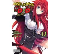 Ichiei Ishibumi Haydn Trowell Miyam High School DxD, Vol. 12 (light (Tascabile)