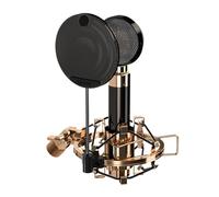 iCON Pro Audio Aurora - Microfono a condensatore a cardioio, gamma dinamica da 125 dB, alloggiamento in metallo