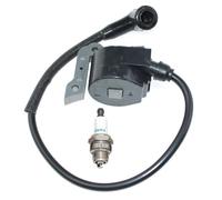 ICOOYO Bobina di accensione per Oleo-Mac 956 962 965 TT162 Efco 156 162 165 TT962 50022007BR (vecchia versione)