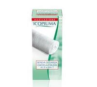 BENDA ICOPIUMA ORLATA 20 5X7CM