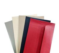 iCOUNT Buste Perlate Colorate 11x22 cm | Confezione da 250 Buste da Lettera in Carta Perlata 120g, Colori Assortiti Eleganti, Ideali per Auguri di Natale, Inviti, Eventi, Ufficio (250 pezzi)