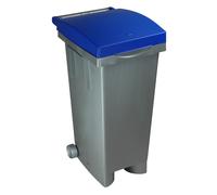Ics Ics Bidone Tata Color per Raccolta Differenziata Lt. 80 - Verde/Grigio