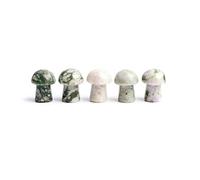 ICXLPMC 1PC Mini Fungo di Cristallo Pietre Naturali Intagliato Artigianato Decorazione Quarzo Gingillo Regalo Ornamento Acquario Home Decor Regalo Bella Pietra di Cristallo Naturale QINTINYIN Home