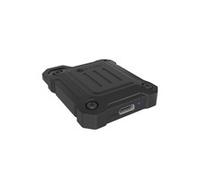 ICY BOX IB-1601MP-CU31 Mini M.2 NVMe SSD allogg. Case esterno IB-1601MP-CU31