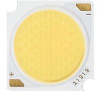 ICYJRFHLTF 10PCS COB LED 50W Chip Lamp 1919mm Led Chip Bridgelux Powerfor Spotlight Floodlight Garden Square Integrat White 4000K