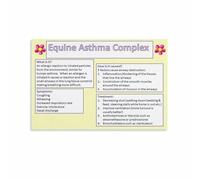 ICYJRFHLTF Horse Wellness Knowledge Poster, Supporting Healthy Breathing Educational Print for Ranch, Stable Decor Framed,12x18inch(30x45cm)