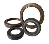 ID 40/42/43/45/46/47/48-65mm Paraolio ad alta pressione, alta temperatura, resistenza ad alta pressione, TBV/TCN/CFW, pompa dell'olio idraulico(60x80x6)