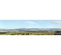 Id P207B Premium Gamma Scenari 00 Controllo E Dales 2 x 38.1cm x 152cm Rotoli