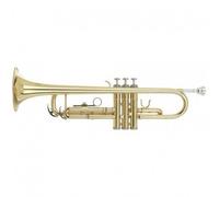 Ida Maria Grassi GR STR500 - Tromba completa di astuccio, imboccatura e accessori per la manutenzione, ottimo strumento per lo studente o per bande musicali in chiave: SIb con Campana: 117 mm.