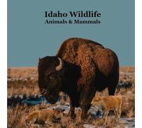 Idaho Animals and Mammals Kids Wildlife Book: Great Idaho Animals book with Lifelike Images and Fun Facts