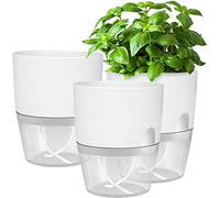 iDattel Set di 3 vasi per erbe aromatiche da cucina,Vaso con Sistema di Auto,per davanzale da finestra, per erbe aromatiche, 18,2 x 11 x 15,3 cm, per erbe fresche, bianco