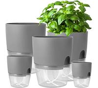 iDattel Set di 5 vasi per erbe aromatiche da cucina, autoirriganti, per la cucina, 15,3/10,5/8,2 cm, per erbe fresche da cucina, grigio
