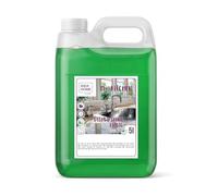 IDEA HOME MS. KITCHEN Detersivo Piatti 5L Concentrato Sgrassatore Efficace Vegano Profumo Menta