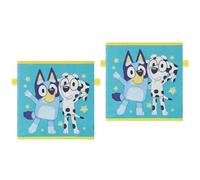 Idea Nuova Bluey - Set di 2 cubi portaoggetti pieghevoli, 25,4 x 25,4 x 25,4 cm, in tessuto, per bambini, spaziosi, pieghevoli, per camera da letto, sala giochi o armadio