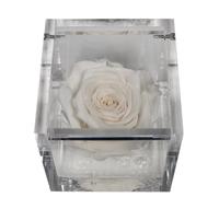 Idea regalo, rosa eterna stabilizzata marca Flowercube, confezione regalo ideale per natale,varie colori dimensioni 8x8 completa di packaging. Colore : BIANCO