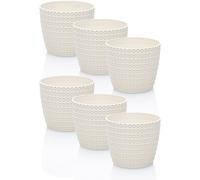 Idea-Station RIBA Vaso da Fiori in Plastica 6x11 cm - Bianco Crema - per Piante ed Erbe, Interni ed Esterni