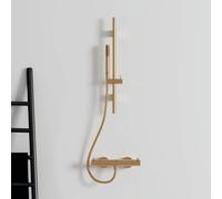 Ideal Standard Idealrain set doccia con asta saliscendi, 1 tipo di getto, A7616A2, Idealrain brushed gold [Rubinetteria Bagno > Set Doccia]