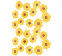 IDEANATEGRATE Fiori Secchi Pressati Gialli Mantenimento del Colore Originale 24 Decorazioni Naturali ed Eleganti per Artigianato DIY per Segnalibri e Creazioni Manuali