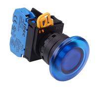 IDEC Interruttore Pulsante Momentaneo 24V Ambra 22mm 2NC YW1L-M2E02Q4A