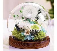 Idee Regalo di San Valentino Di Tarassaco In Un Bicchiere per Donne, Regali Di Compleanno per Amiche, Sorelle, Insegnanti, Mamme, Nonne, Regali che Esaudiscono I Desideri, Incoraggiamento per Lei