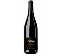 Idem 2024 - Bertrand & Vincent Marchesseau St Nicolas de Bourgueil