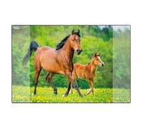 Idena 10454, Sottomano con Due Tasche, Cavallo, Pratico Accessorio per la Stanza dei Bambini, dei Ragazzi e Dello Studio, Circa 58.5 x 38.5 cm